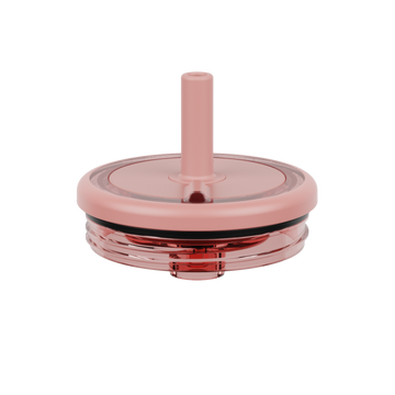 Era Replacement Lid 20oz | Guava - Fresh Carry