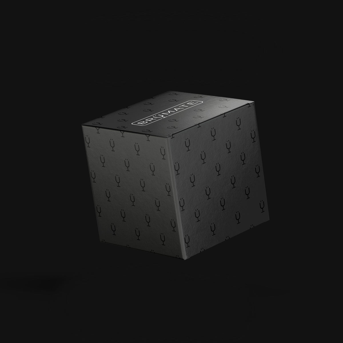 Mystery Item ($24-49 Value) - Urban Mug